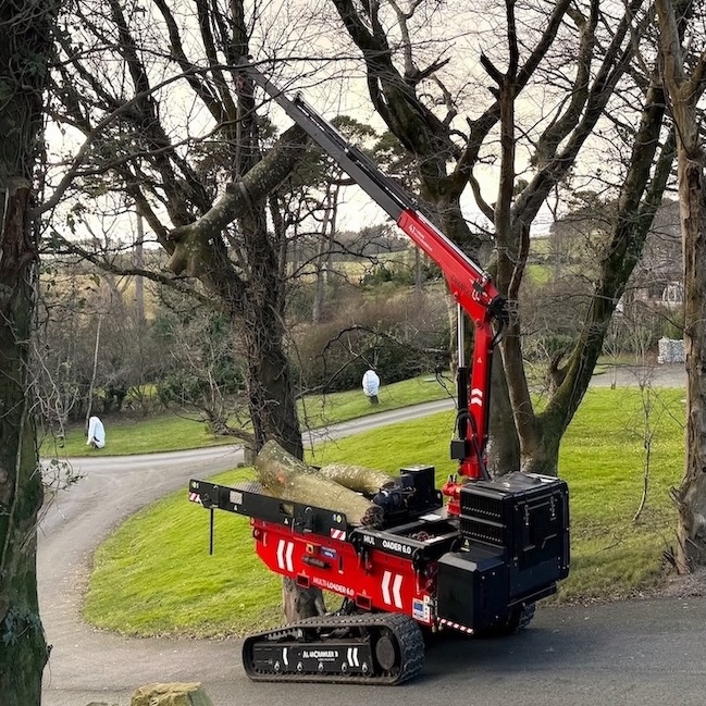 Spider mini crane